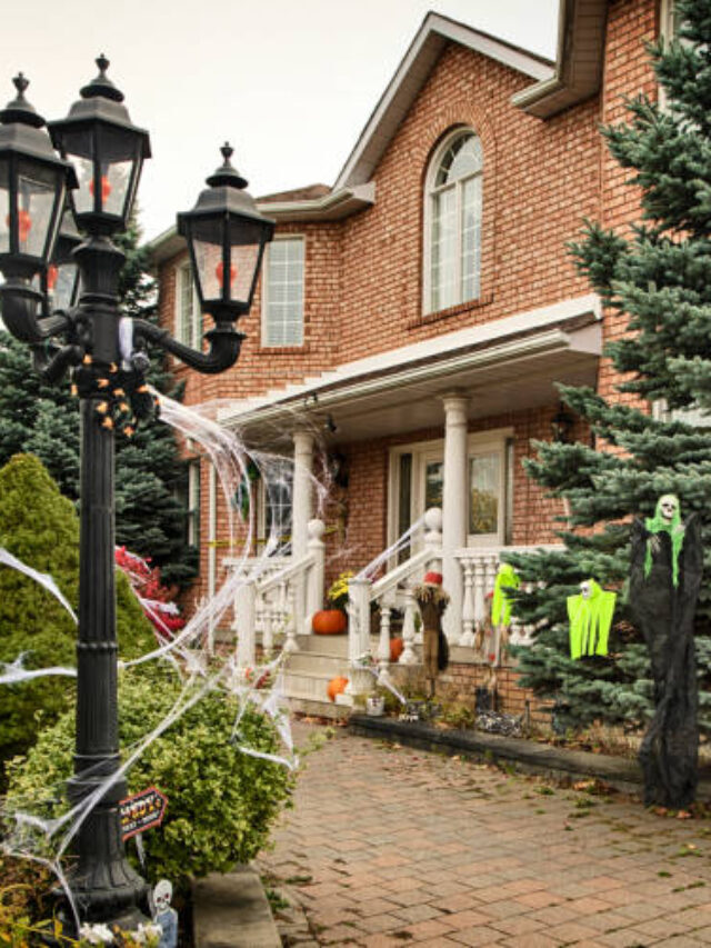 OMG Halloween Home Decorations