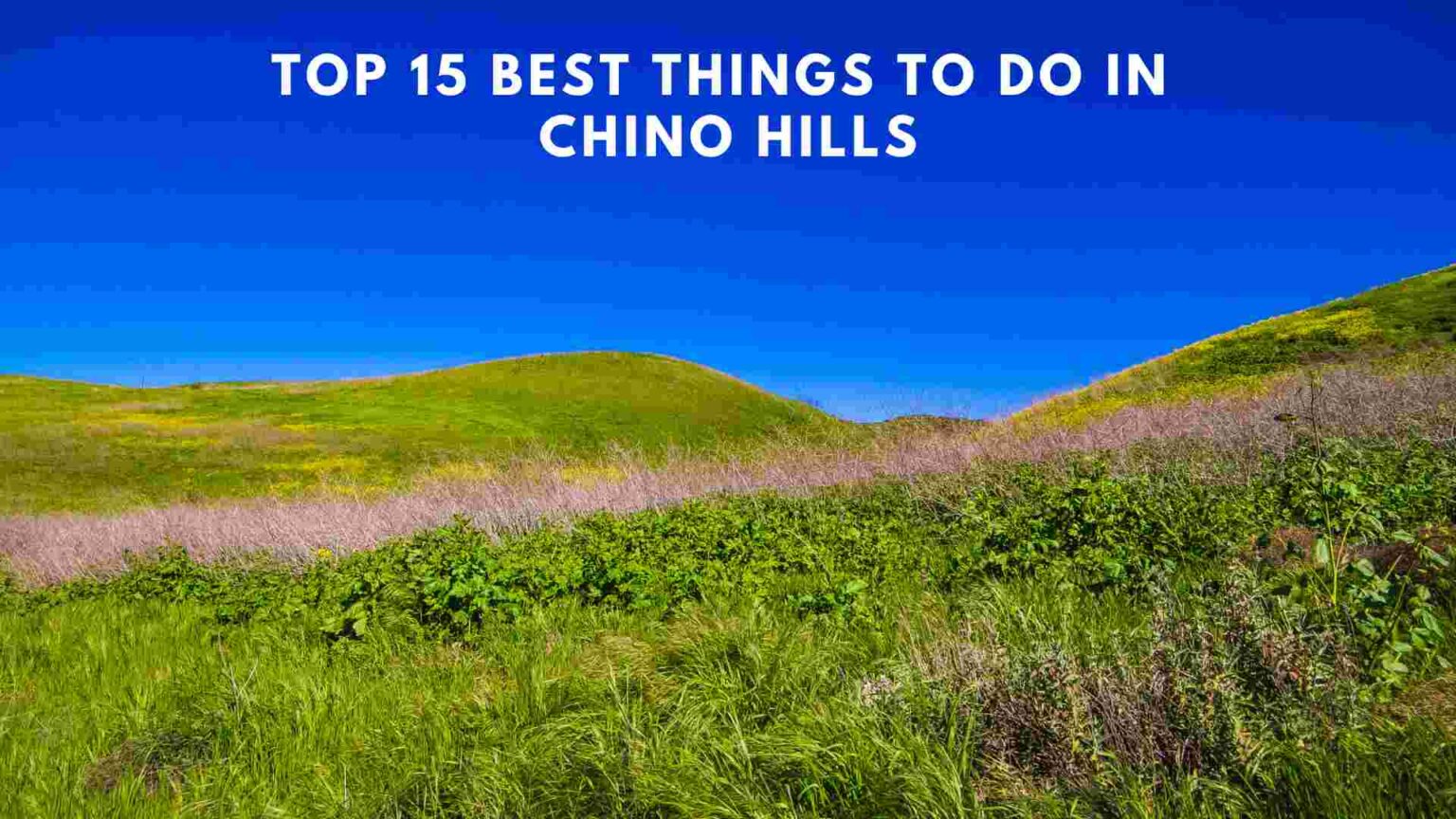 Top 15 Best Things To Do In Chino Hills