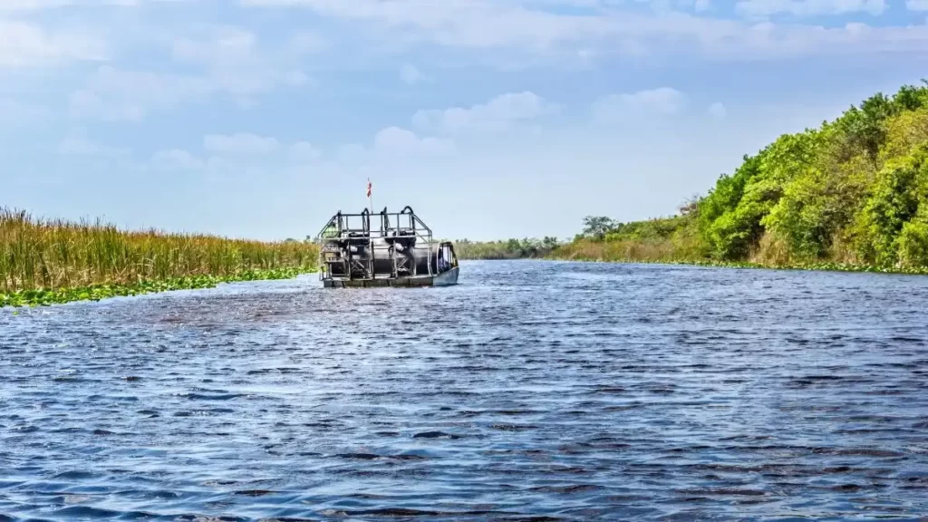 airboat ride 1